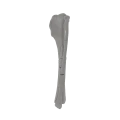 renderowanie kosci.533