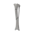 renderowanie kosci.535