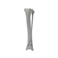 renderowanie kosci.541