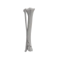 renderowanie kosci.542