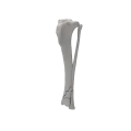 renderowanie kosci.540