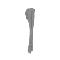 renderowanie kosci.544