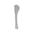 renderowanie kosci.548