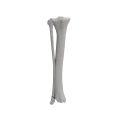 renderowanie kosci.547