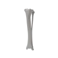 renderowanie kosci.546