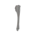 renderowanie kosci.549