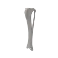 renderowanie kosci.545
