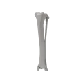 renderowanie kosci.551