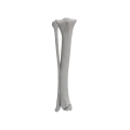 renderowanie kosci.552