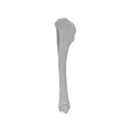 renderowanie kosci.553