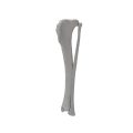 renderowanie kosci.550