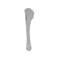 renderowanie kosci.558