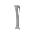renderowanie kosci.556