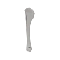 renderowanie kosci.563