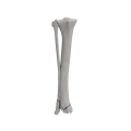 renderowanie kosci.562