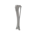 renderowanie kosci.560