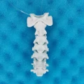 5 kocie kregoslupy ruchome.jpg