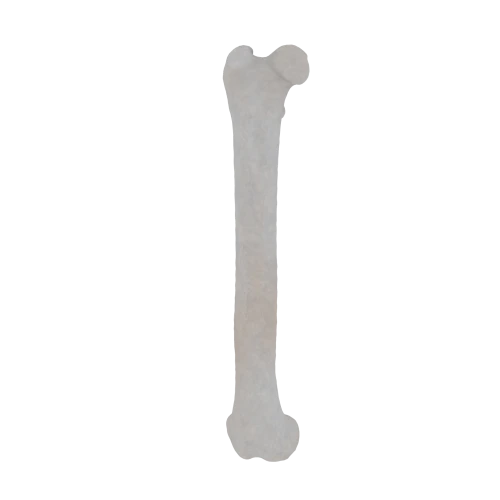 11-a2.303.png