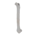 11-a2.305.png