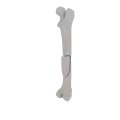 11-a2.494.png
