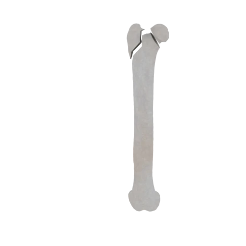 11-a2.468.png
