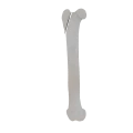 11-a2.448.png