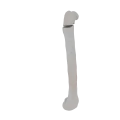 11-a2.451.png