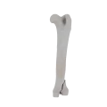 11-a2.544.png