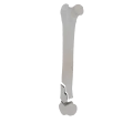 11-a2.532.png