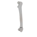 11-a2.524.png