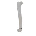 11-a2.525.png