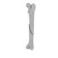 11-a2.477.png