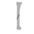 11-a2.480.png
