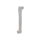 11-a2.545.png