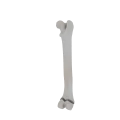 11-a2.549.png