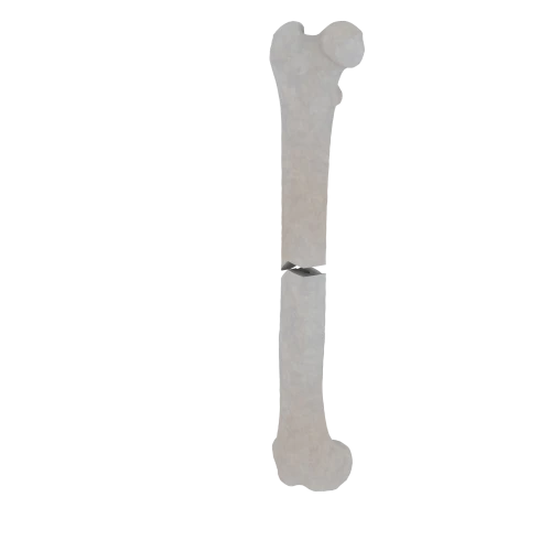 11-a2.481.png