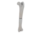 11-a2.485.png
