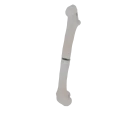 11-a2.486.png