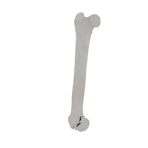 11-a2.533.png
