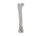 11-a2.561.png