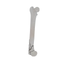 11-a2.566.png