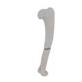 11-a2.260.png
