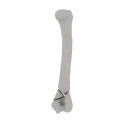 11-a2.271.png