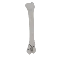 11-a2.273.png