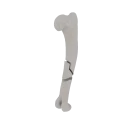 11-a2.262.png