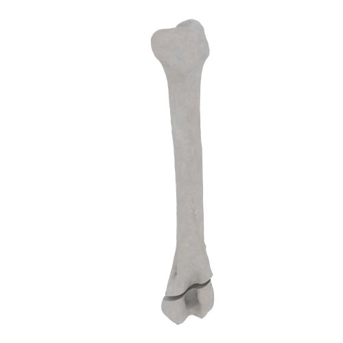 11-a2.270.png