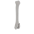 11-a2.277.png