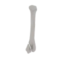 11-a2.275.png
