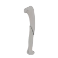 11-a2.256.png