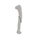 11-a2.255.png